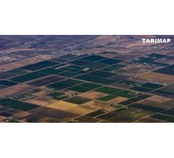 Tarimap