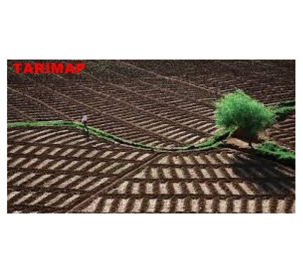 Tarimap